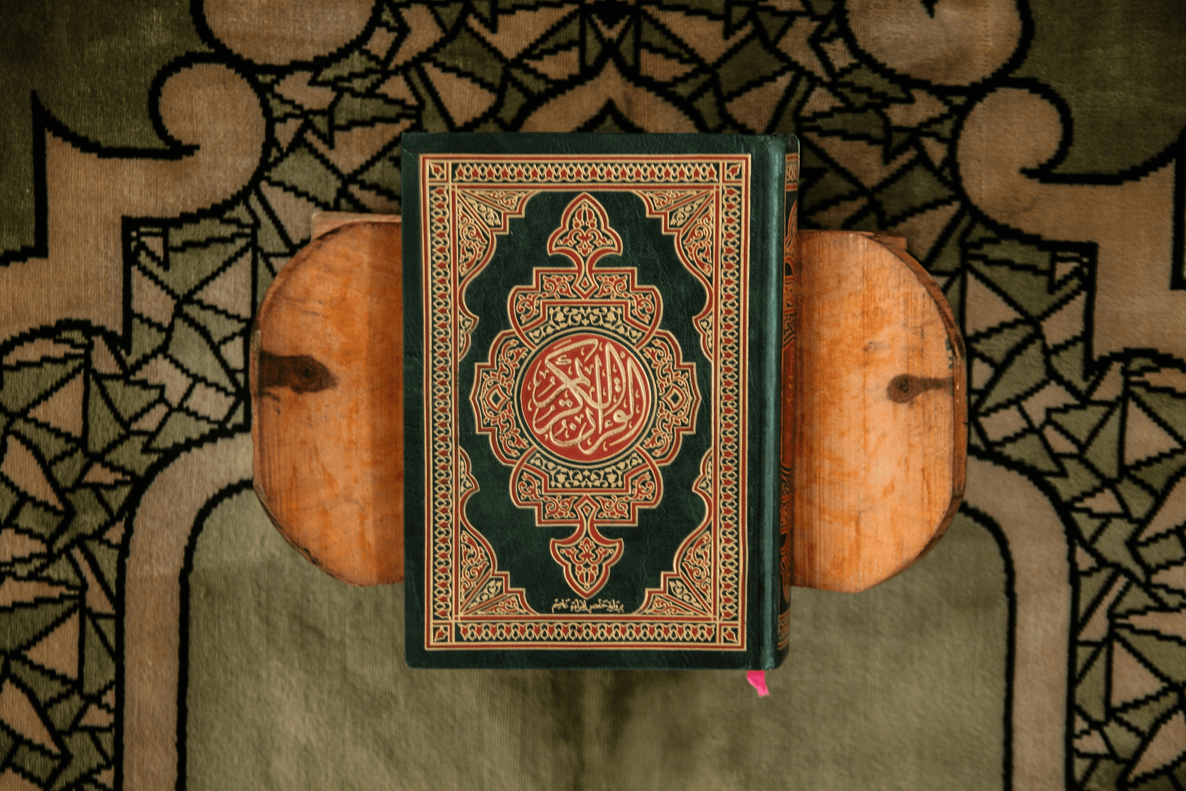 About Image 3