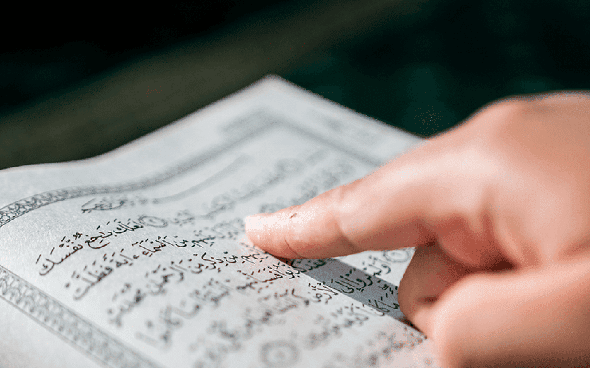 Person reading Quran with translation beside it