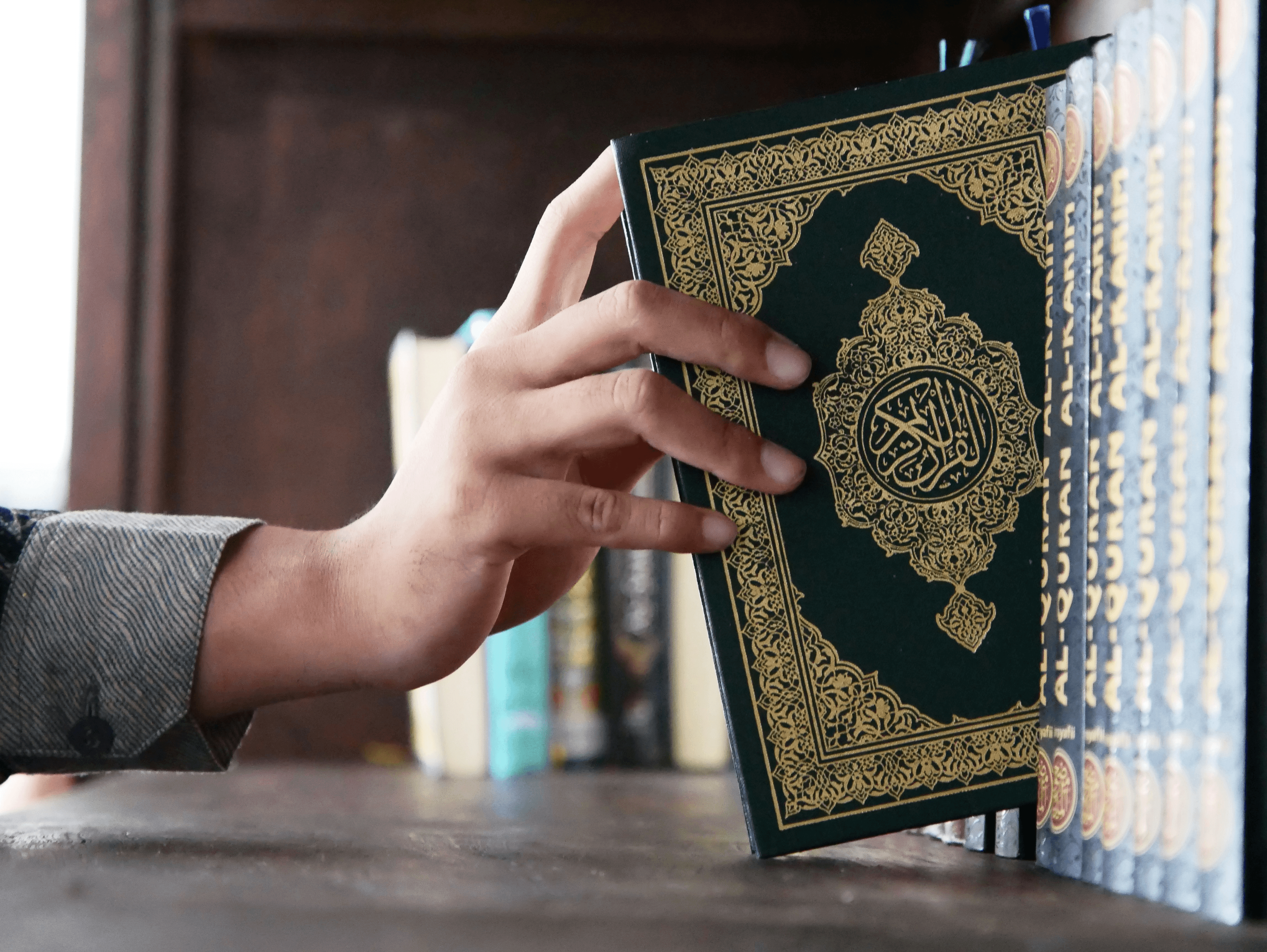 Quran Tafseer and Islamic studies